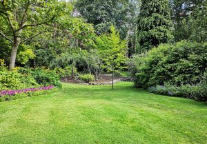 Optimiser l'expérience du jardin à Epinay-sous-Senart